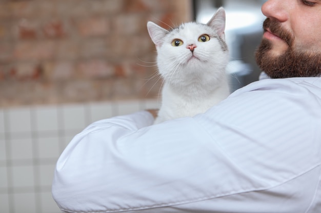 Veterinario macho con un gato en su clínica.