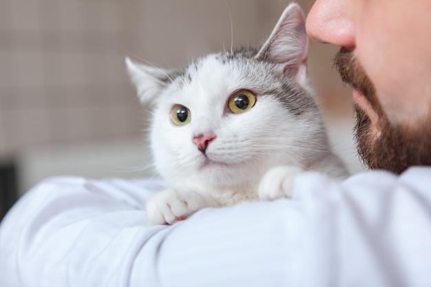 Veterinario macho con un gato en su clínica.