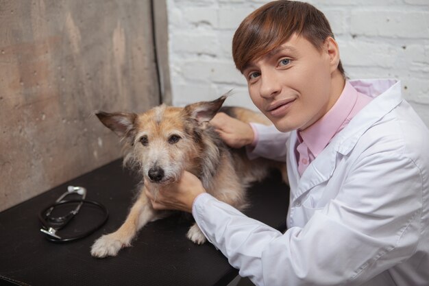 Veterinário masculino alegre sorrindo para a câmera, acariciando um cão fofo de raça mista em seu consultório médico