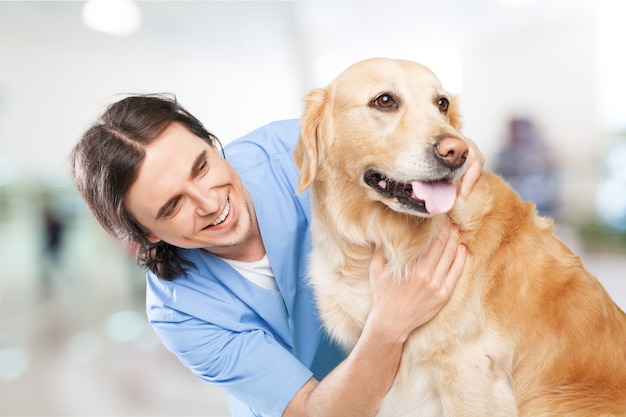 Veterinário masculino com cachorro