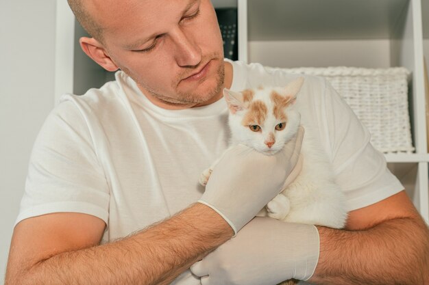 Veterinário masculino de luvas e camiseta segura um gatinho branco e ruivo nos braços, para exame médico