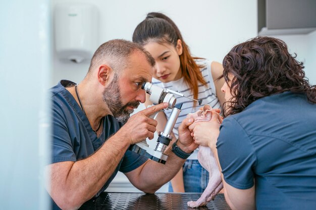 Foto veterinário masculino e enfermeira que examinam um gato cego para cirurgia ocular a laser.