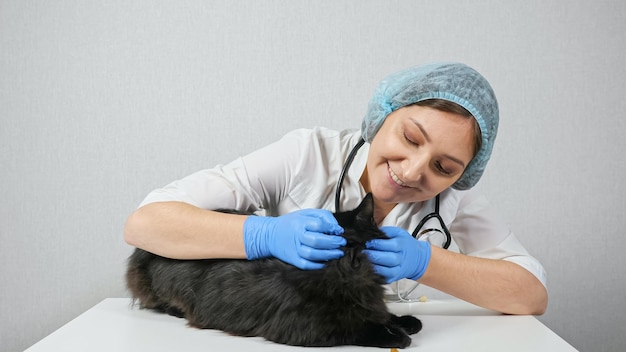 Veterinario mujer examina las orejas de un gato negro.