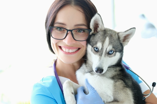 Veterinario de la mujer que sostiene el perro con los ojos azules contra el fondo de la clínica del animal doméstico