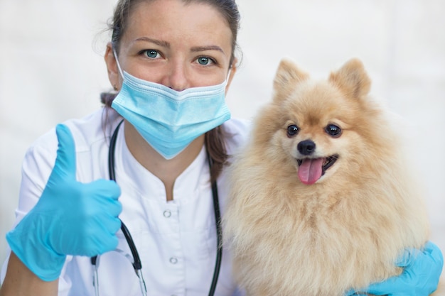 Veterinario y perro en clínica.