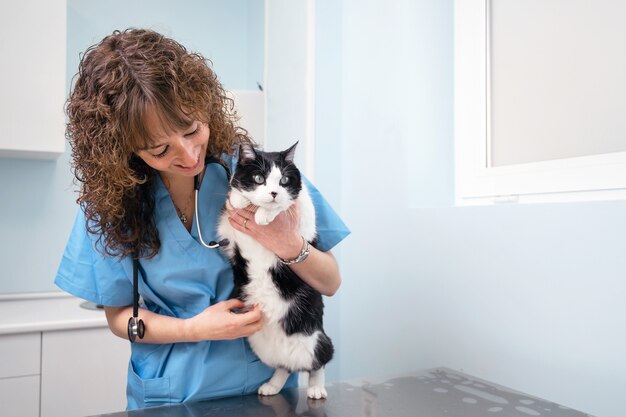 Veterinário profissional sorridente segurando um lindo gato após o exame.