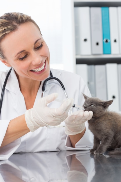 Veterinario que da medicina del gato