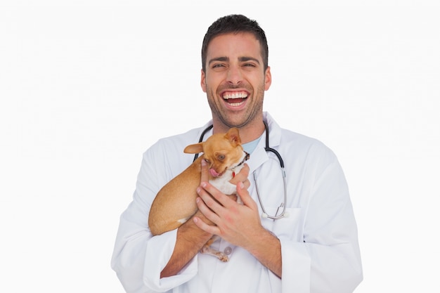 Veterinario riendo con chihuahua