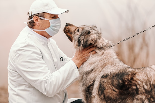 Veterinário sênior caucasiano que verifica no cão na trela. Exterior rural.