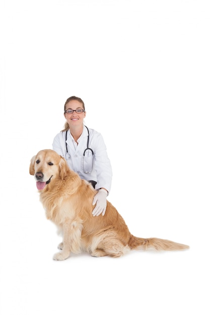 Veterinário sorridente com um labrador