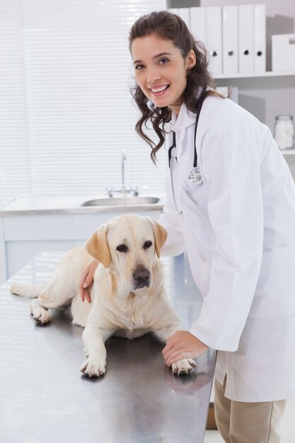 Veterinário sorrindo examinando um cachorro