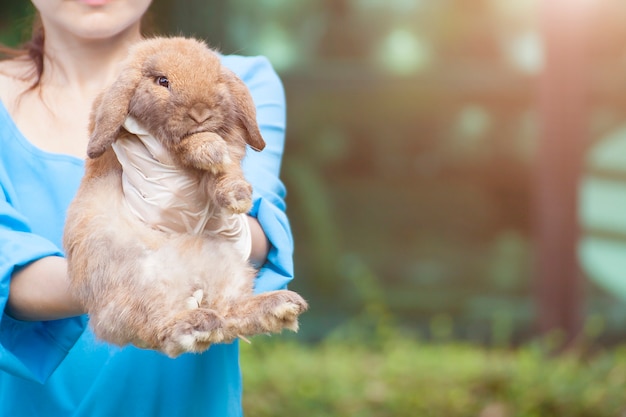 veterinario sosteniendo conejo