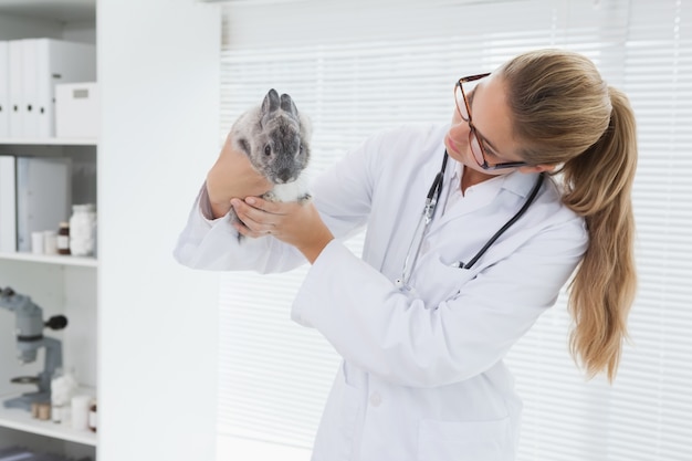 Veterinario sosteniendo un pequeño conejo