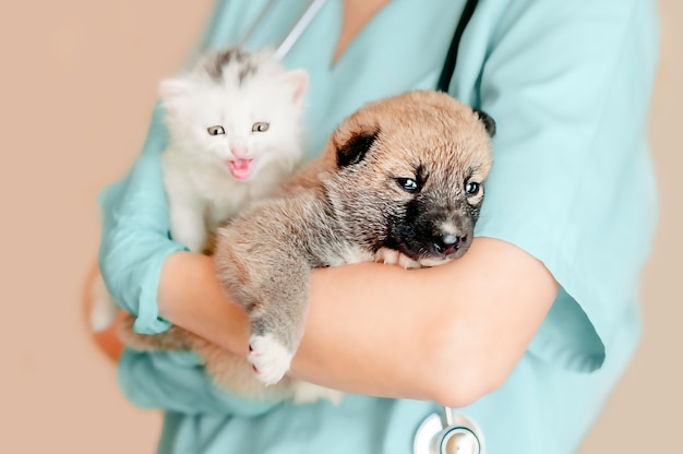 Foto el veterinario sostiene un gatito blanco y un cachorro mestizo en sus brazos mientras se prepara para el examen.