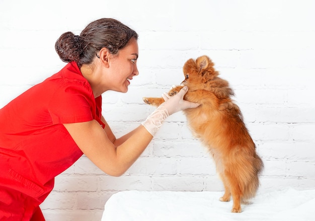 Foto un veterinario sostiene a un pequeño cachorro por las patas.