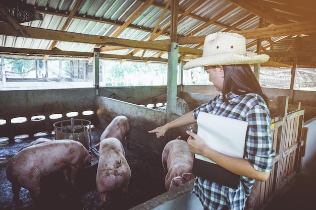 Veterinario trabajando en cheque y administrar en la granja de agricultura