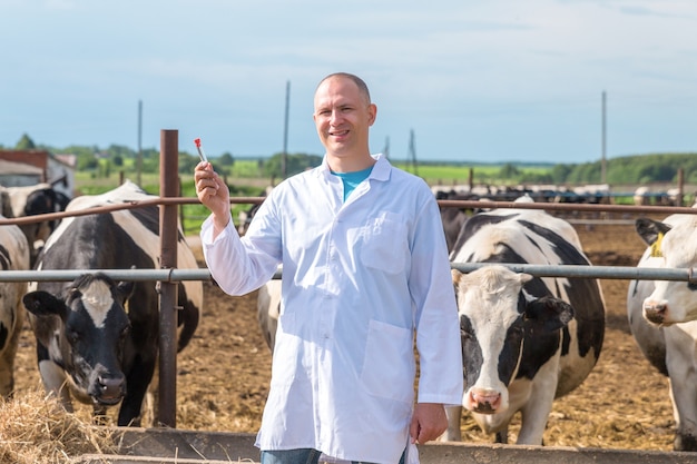 Veterinario en una túnica blanca en la granja de vacas