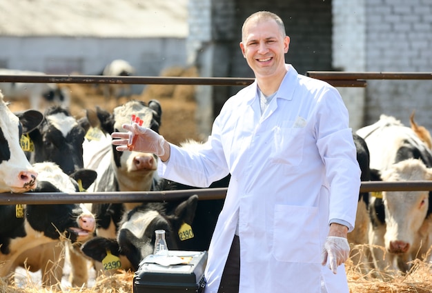 Foto veterinario de vacas macho en la granja toma análisis