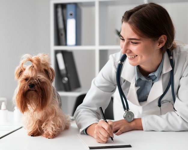 Foto veterinário verificando a saúde do filhote