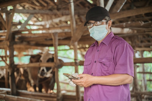 Los veterinarios están preparando las herramientas para la inseminación artificial de la vaca