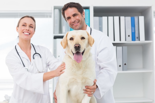 Veterinários felizes com cachorro