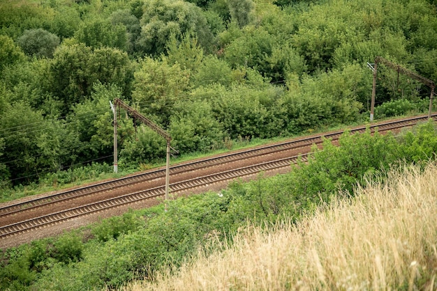 Vía férrea entre la vista superior de árboles verdes