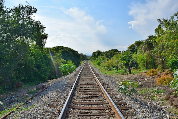 La vía del ferrocarril en medio de los árboles en el campo