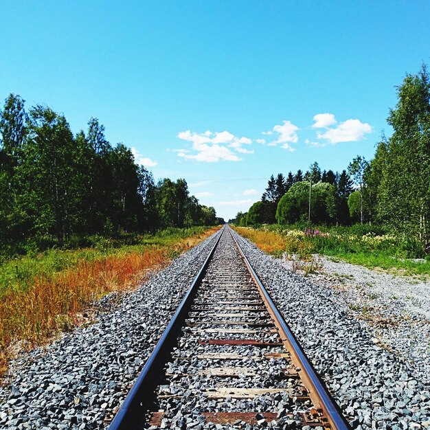 Foto la vía del ferrocarril en medio de los árboles contra el cielo azul