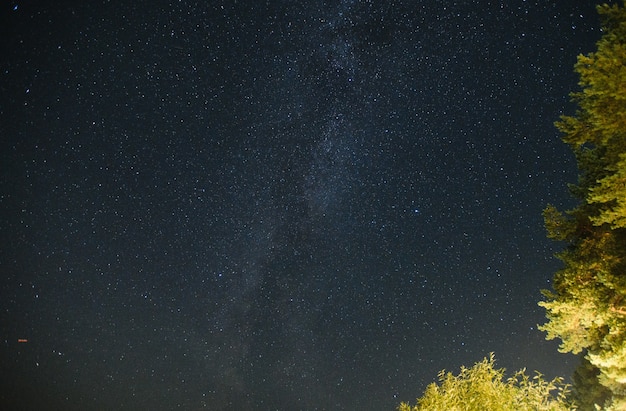 Via Láctea do céu da noite estrelada.