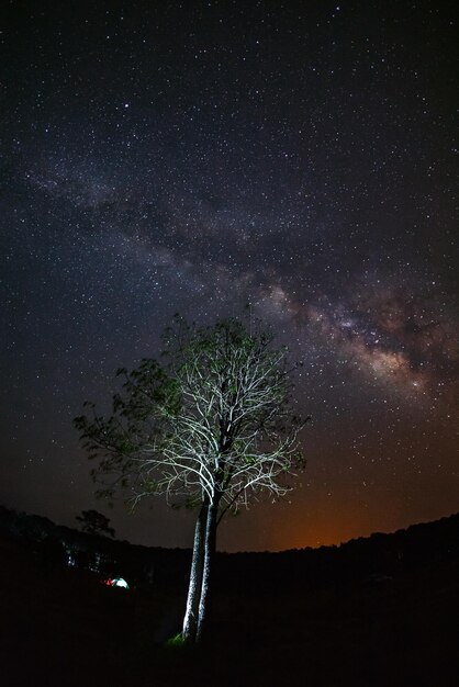 Via Láctea e silhueta de árvore com grão de fotografia de longa exposição de nuvem