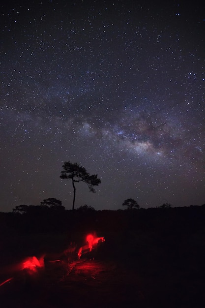 Foto via láctea e silhueta de árvore com luz vermelha no parque nacional phu hin rong kla