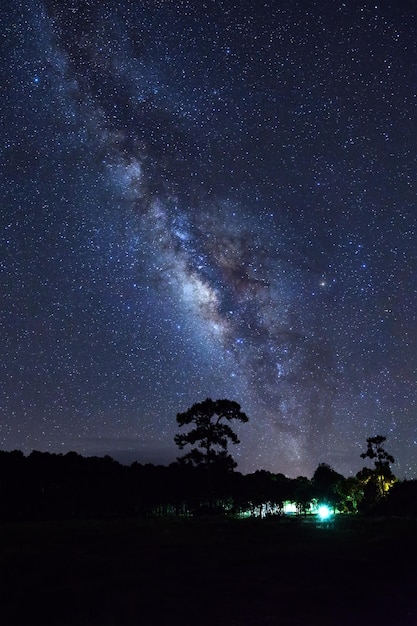 Via láctea e silhueta de árvore com nuvem no parque nacional phu hin rong klaphitsanulok tailândia