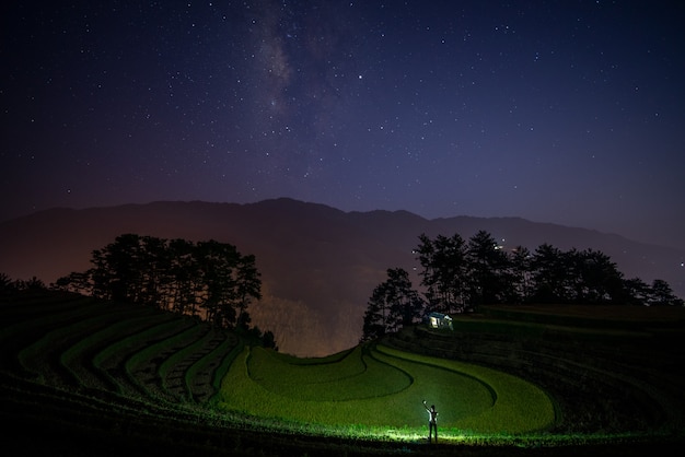 Una vía láctea y fondo de campo verde de arroz