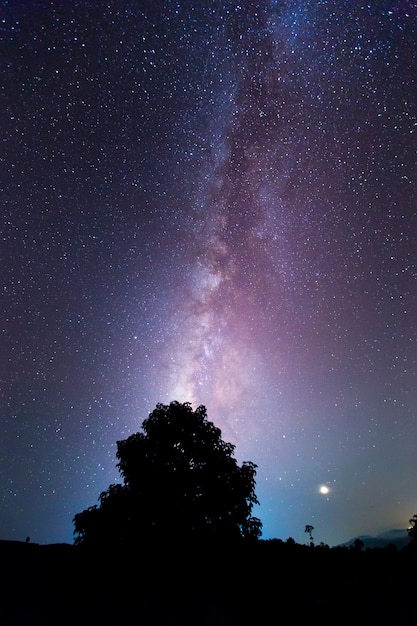 Vía láctea galaxia con estrellas y polvo espacial en el universo.