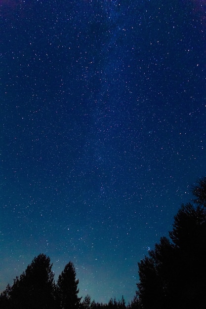 La vía Láctea. Un hermoso cielo nocturno de verano de agosto con estrellas. Starfall, las perseidas que caen. Fondo
