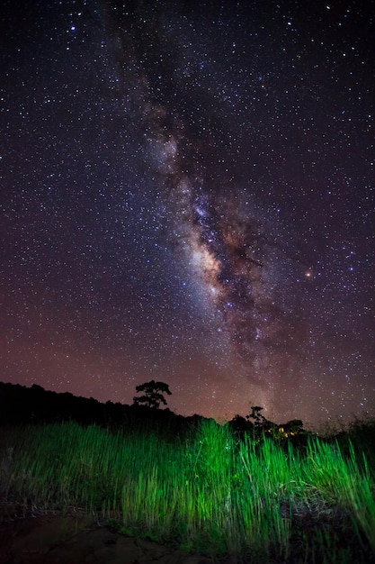 Vía Láctea en el Parque Nacional Phu Hin Rong KlaPhitsanulok TailandiaFotografía de larga exposición con grano