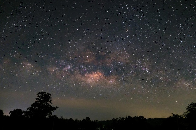 Foto vía láctea y silueta de árbol fotografía de larga exposición con grano