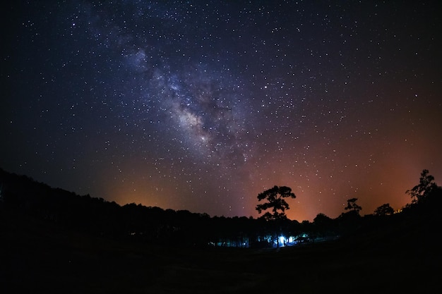 Vía láctea y silueta de árbol con nube Fotografía de larga exposición con grano