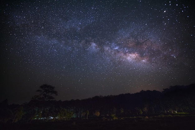 Vía Láctea y silueta de árbol en Phu Hin Rong Kla National ParkPhitsanulok Tailandia Larga exposición fotografíacon grano