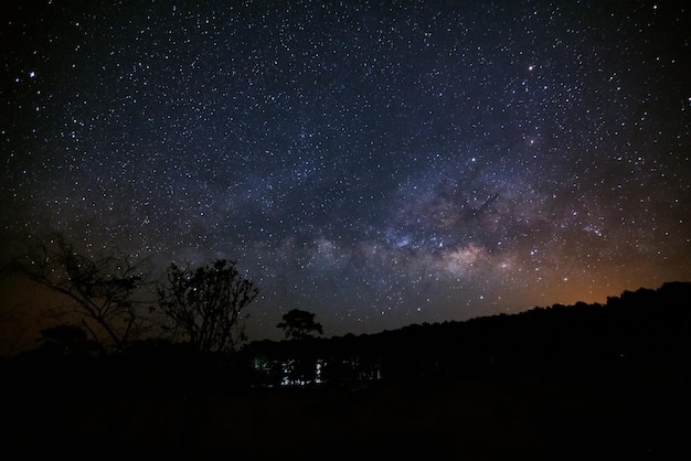 Vía Láctea y silueta de árbol en Phu Hin Rong Kla National ParkPhitsanulok Tailandia