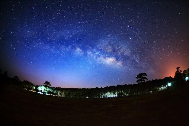 Vía Láctea y silueta de árbol en Phu Hin Rong Kla National ParkPhitsanulok Tailandia