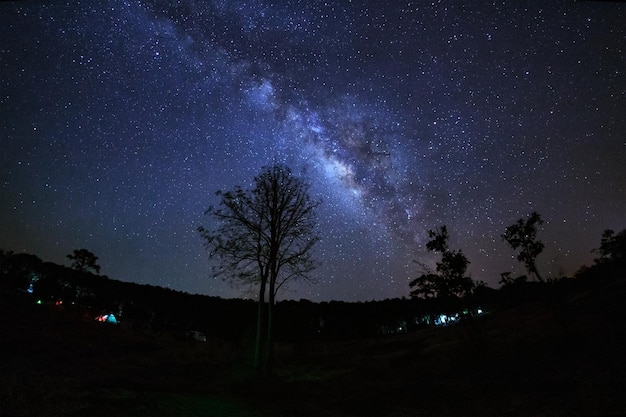 Vía Láctea y silueta de árbol en Phu Hin Rong Kla National ParkPhitsanulok Tailandia