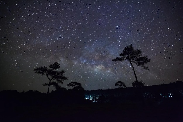 Vía Láctea y silueta de árbol en Phu Hin Rong Kla National ParkPhitsanulok Tailandia