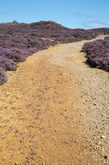 Vía en la mina de cobre de Parys Mountain, Amlwch, Anglesey, Gales, Reino Unido