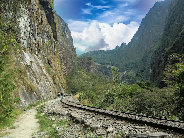 Vía de un tren alrededor de una selva en cusco - perú