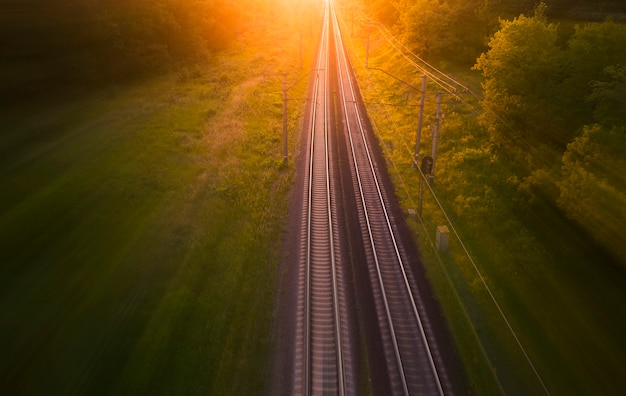 Vía de tren vacía en el bosque al atardecer o al amanecer.