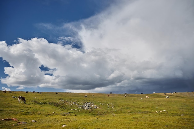 Foto viagem através do vale de montanha das montanhas altai picos de montanha rios lagos e geleiras fronteira da rússia e mongólia paisagem incrível