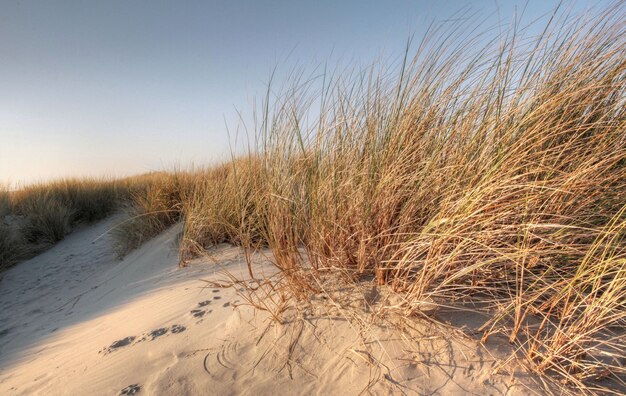 Viagem de férias filmada em West Frisian Island Borkum