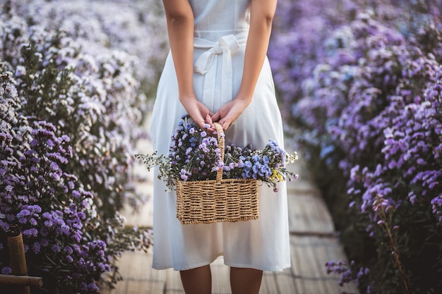 Viagem de inverno relaxa conceito de férias. jovem viajante feliz mulher asiática com vestido para passear no campo de flores margaret aster no jardim em chiang mai, tailândia