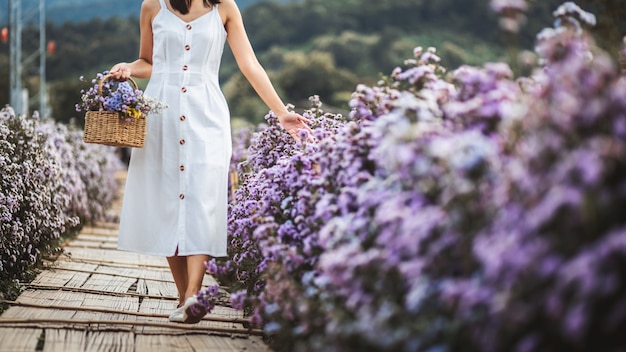 Viagem de inverno relaxa conceito de férias. jovem viajante feliz mulher asiática com vestido para passear no campo de flores margaret aster no jardim em chiang mai, tailândia